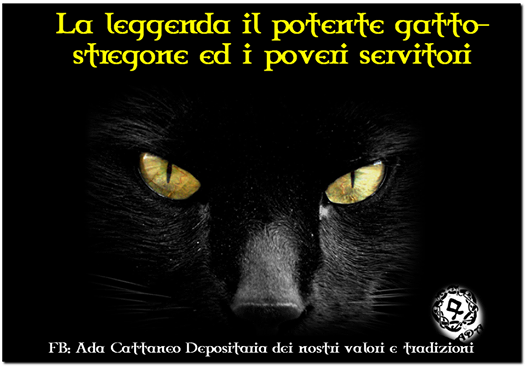 Il Potente Gatto Stregone Ed I Poveri Servitori