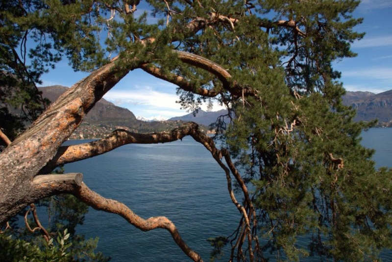 giuliana fabris foto