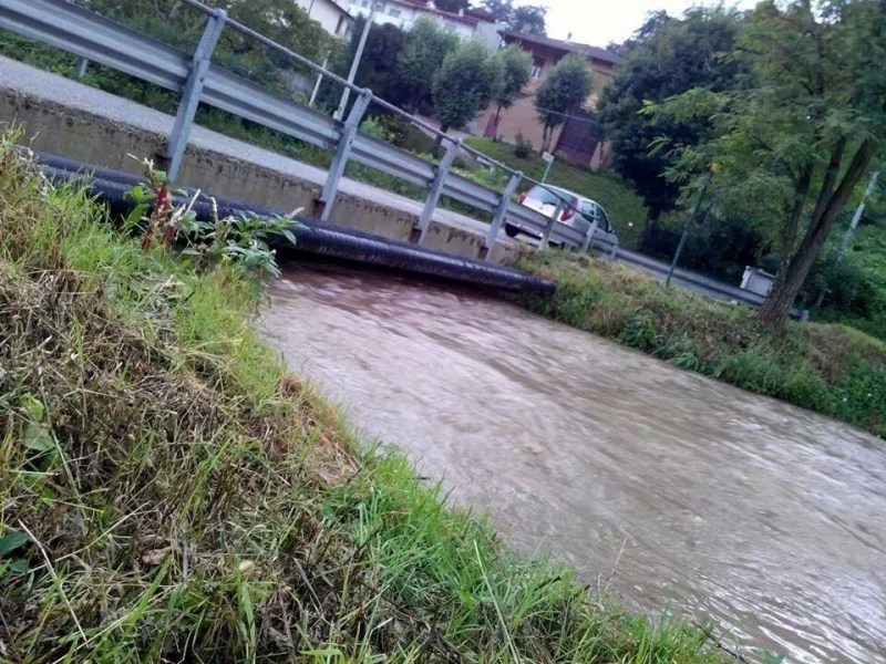 foto di marilena tagliabue